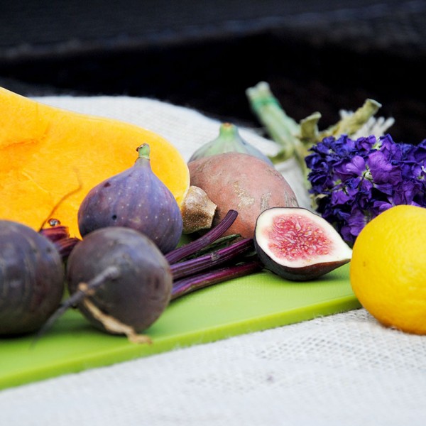 fig and root composition