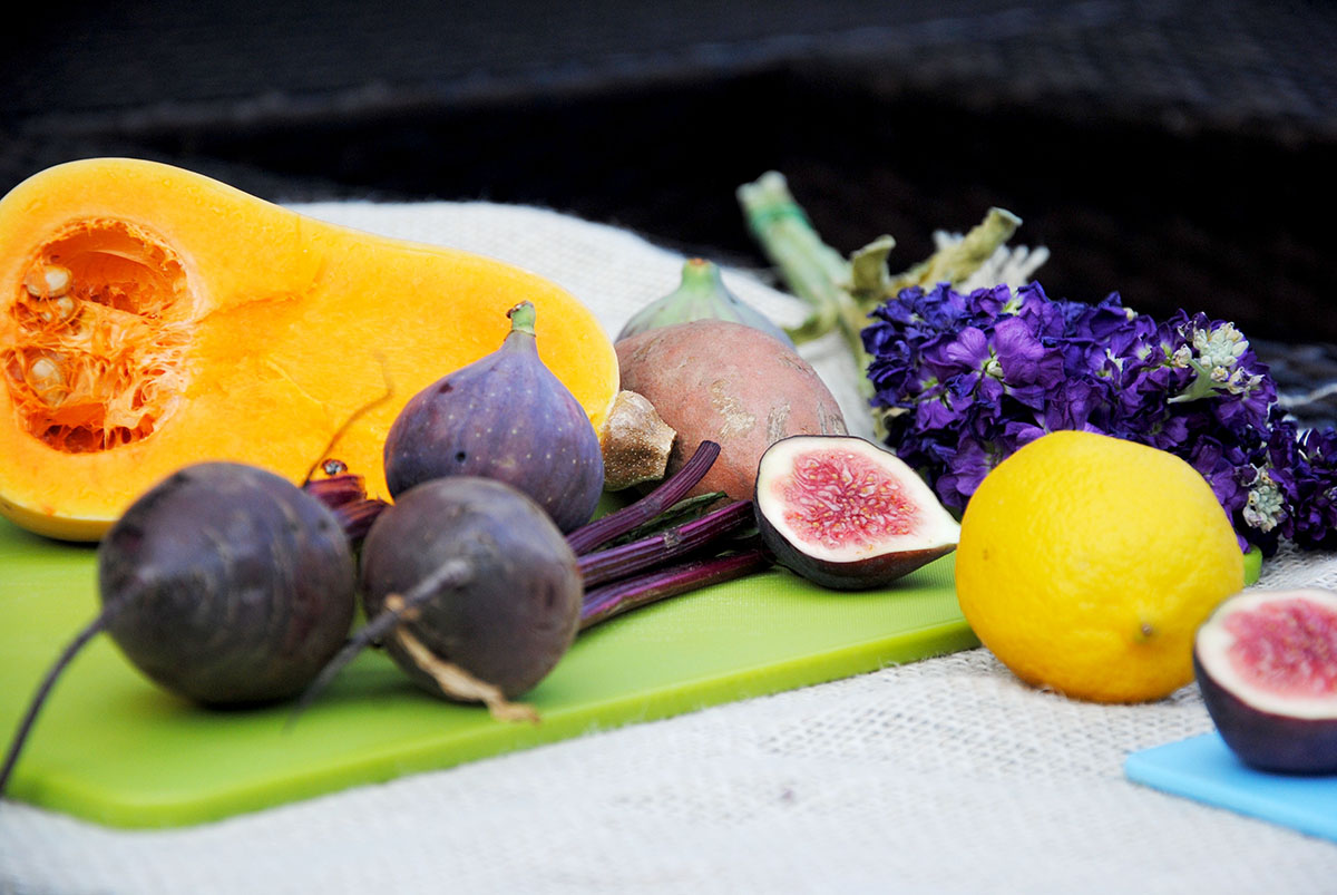 fig and root composition