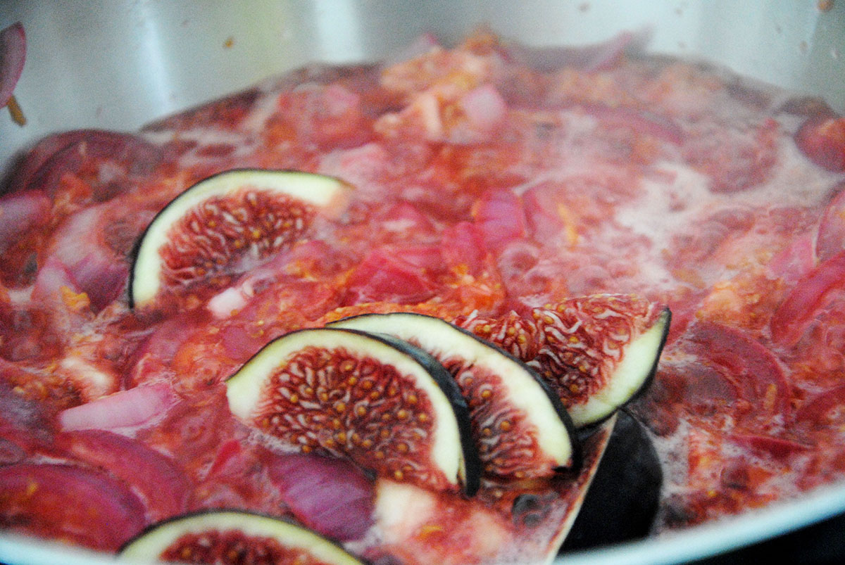 boiling fig