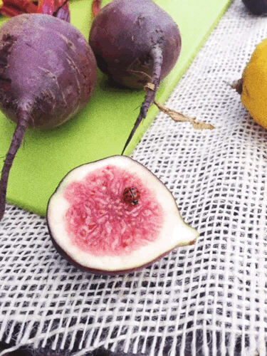 fig on display