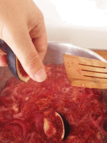 adding fig to pot