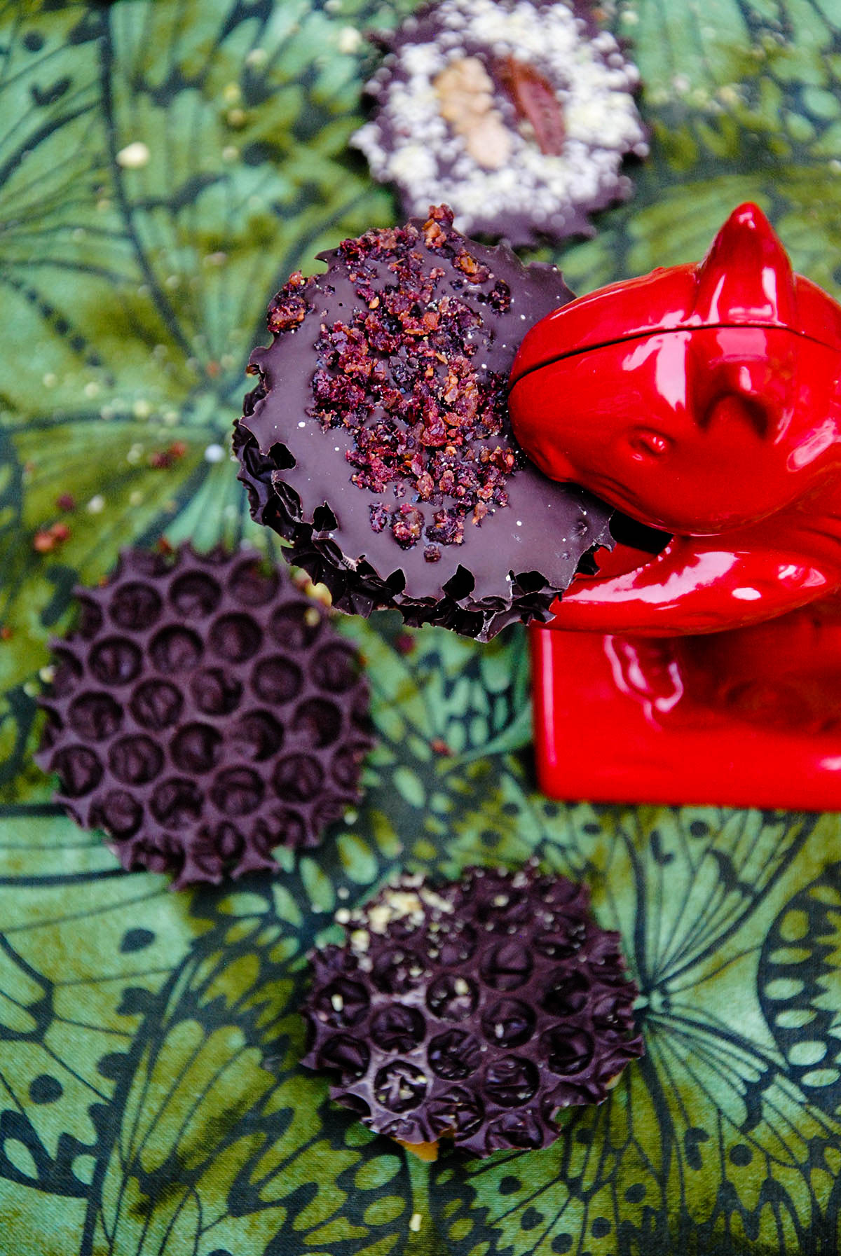 dark chocolate bites with bubble wrap texture in red nut cracker squirrel mouth