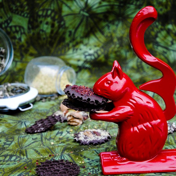 red nut cracker squirrel holding dark chocolate bite