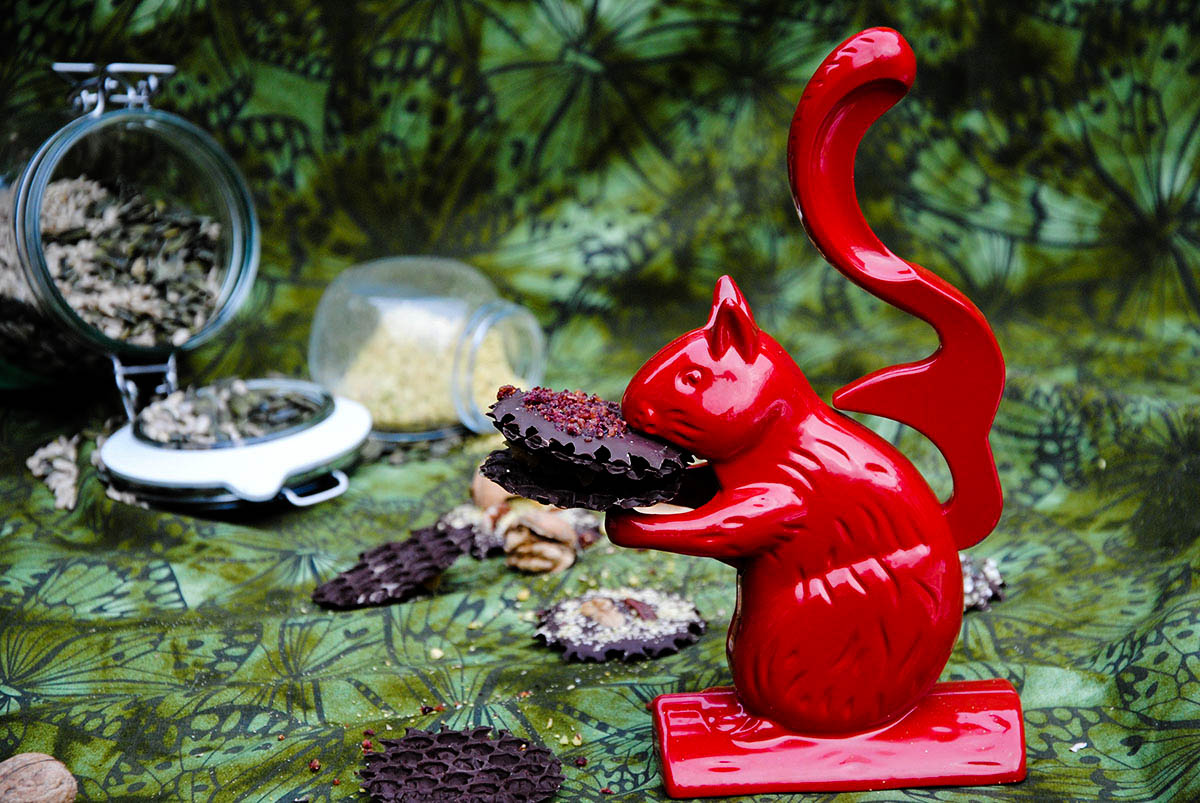 red nut cracker squirrel holding dark chocolate bite