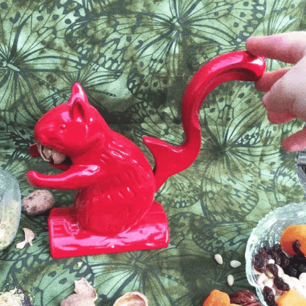 red nut cracker squirrel cracking nuts