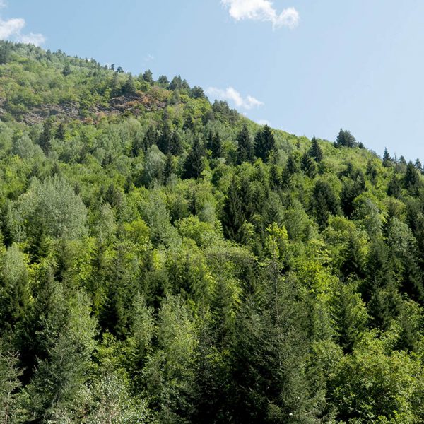 Gerogia - Borjomi.