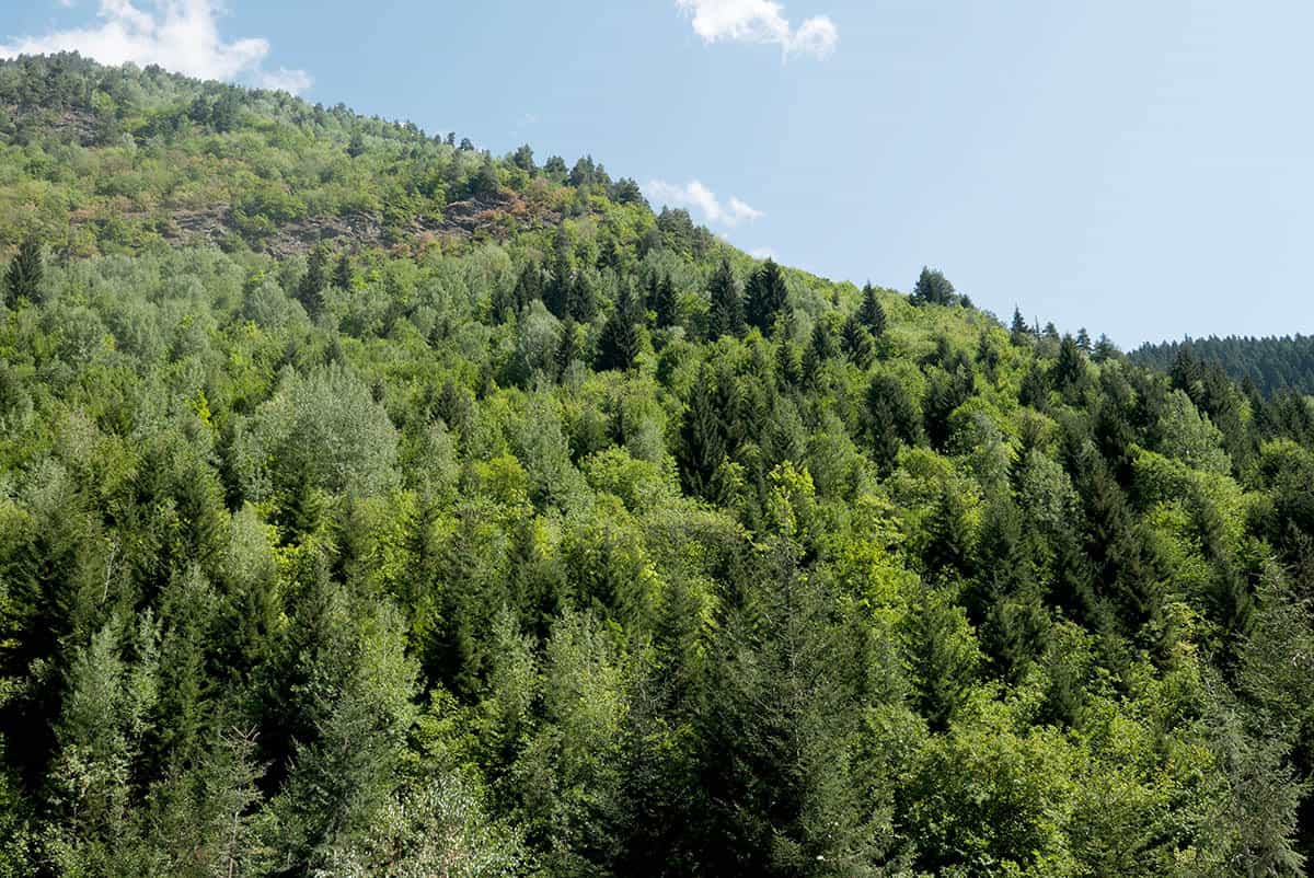 Gerogia - Borjomi.