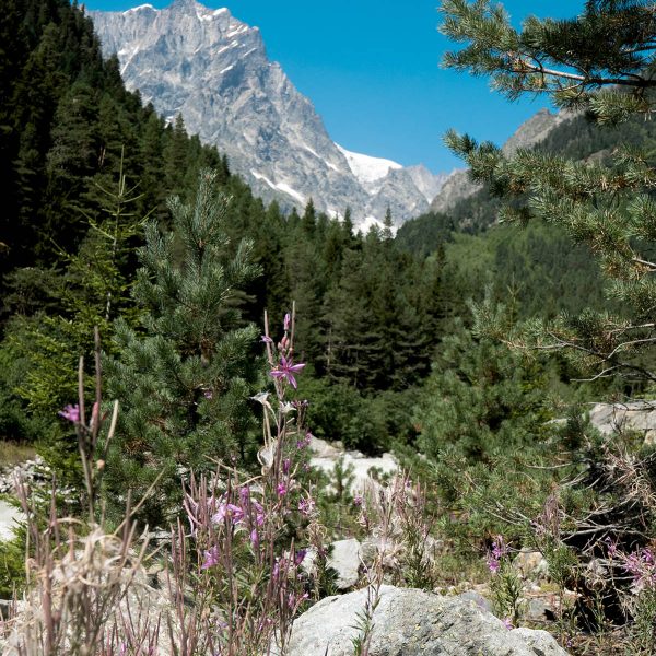 Gerogia - Chalaadi glacier.