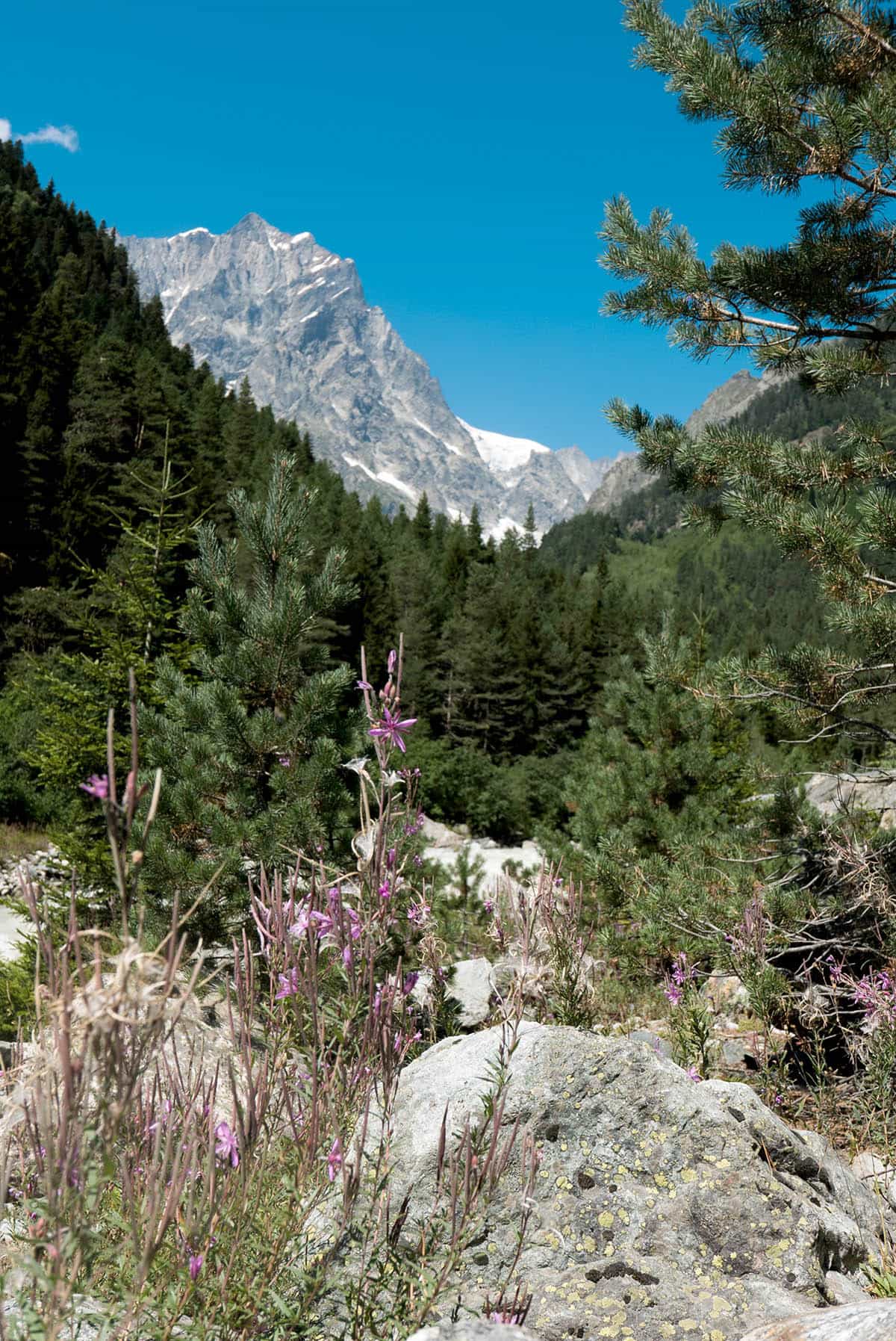 Gerogia - Chalaadi glacier.